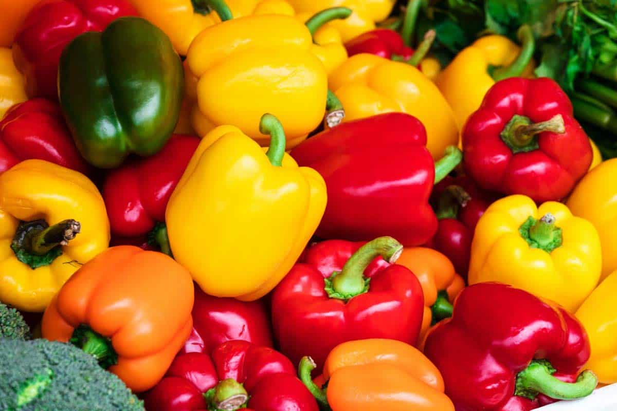 Bell Pepper Substitute Top 10 Best Options