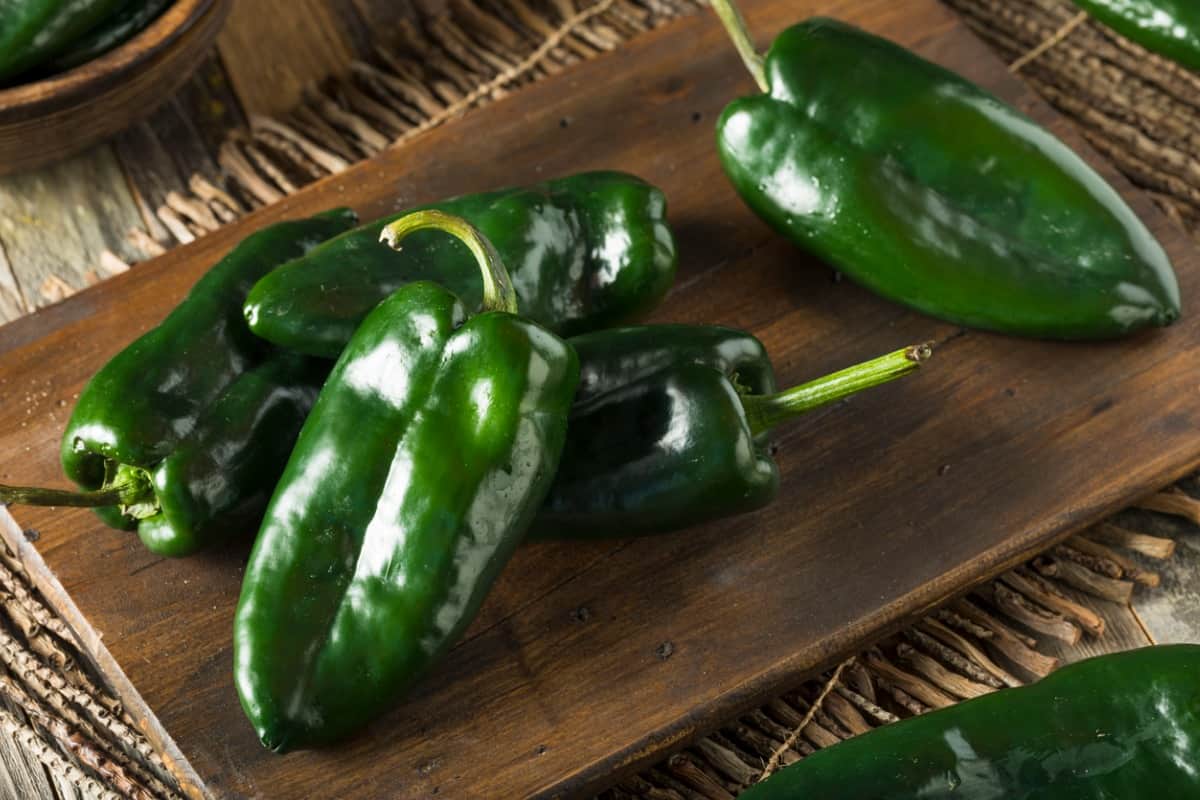 poblano pepper substitute