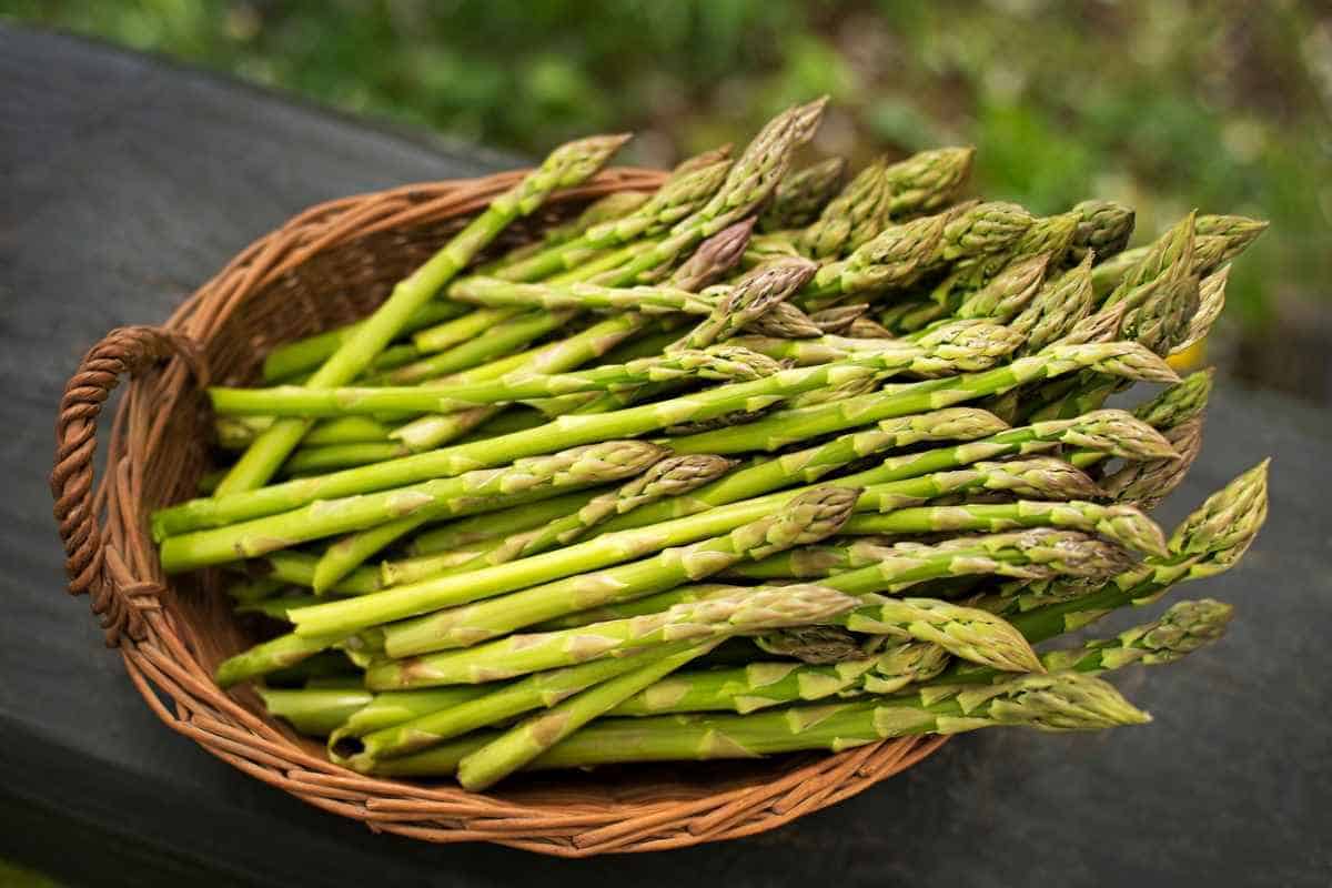 asparagus substitute