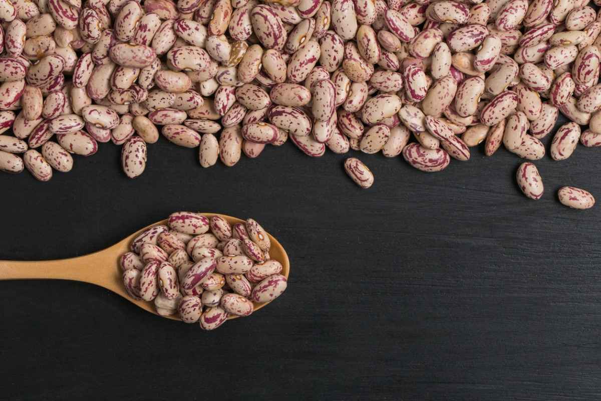 The 11 Best Pinto Beans Substitutes For Your Recipes