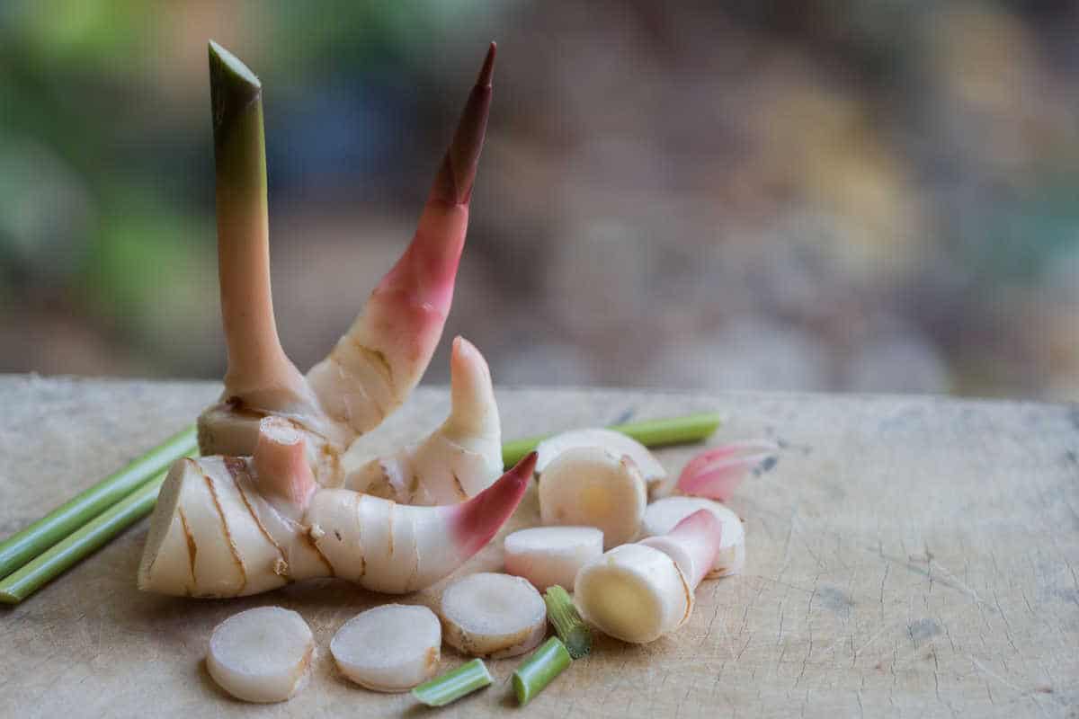 galangal substitute