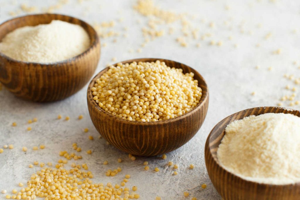 The 11 Best Millet Flour Substitutes For Your Recipes