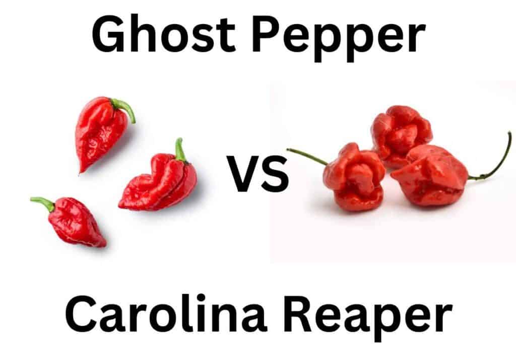 Ghost Pepper vs Carolina Reaper 6 Main Differences