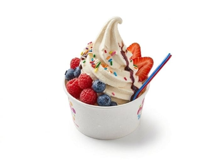 frozen yogurt in cup example frozen yogurt in cup example