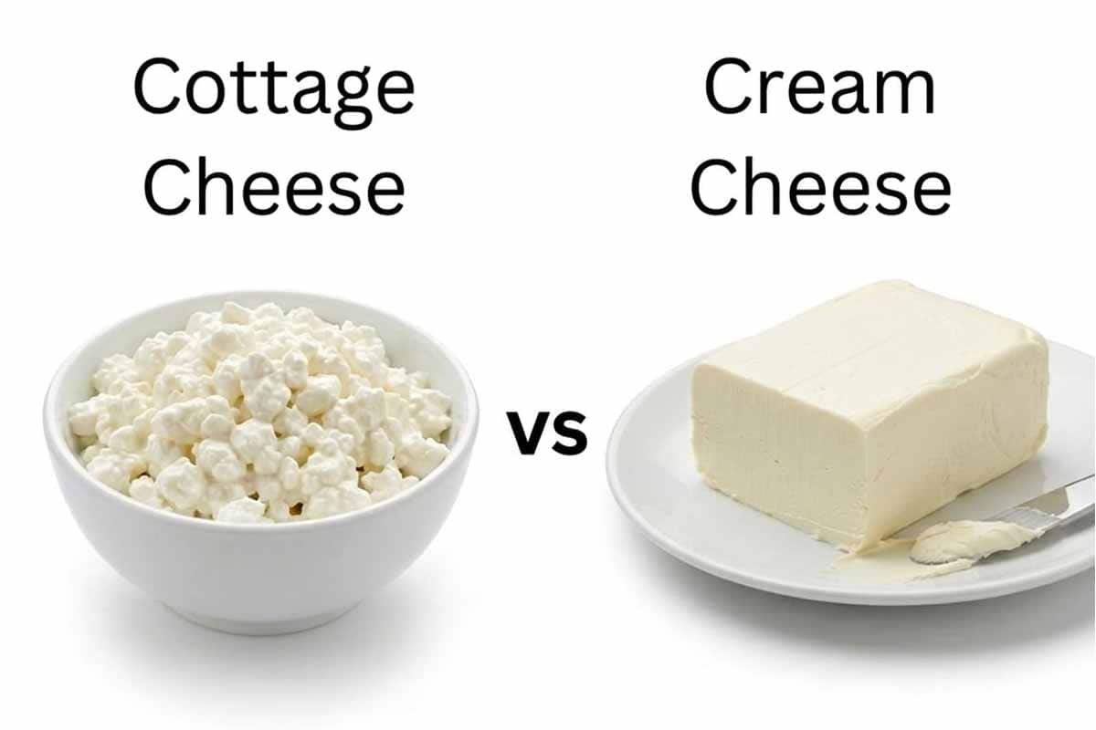 cottage cheese vs cream cheese feat