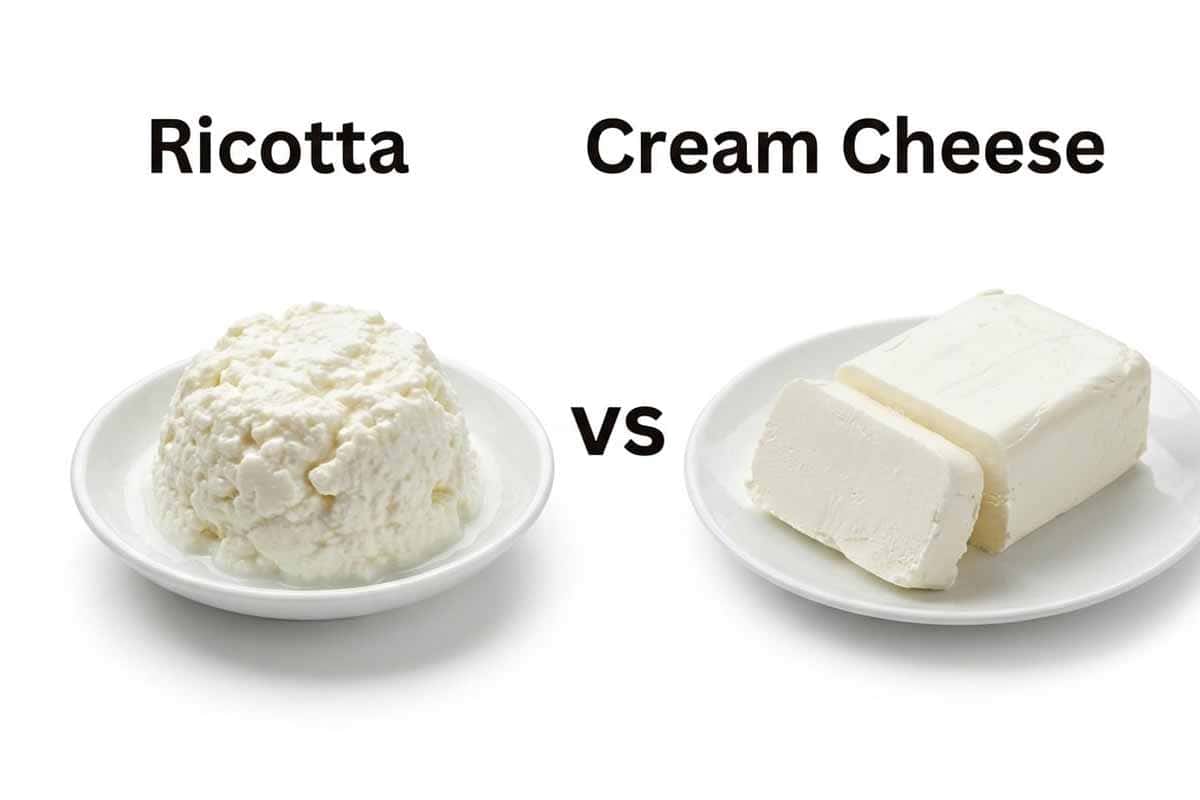 ricotta vs cream cheese feat ricotta vs cream cheese feat