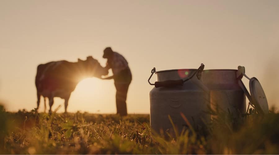 the silhouette of a farmer stands near a cow milk cans in the foreground jpg s=1024x1024&w=is&k=20&c=dl00cJ3DyCX I6oL29DNmco7TnWPJc3wlnnHZwLjUWQ=