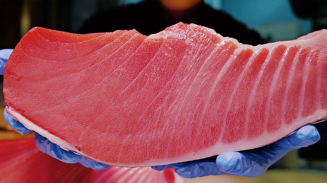 sliced farm fresh tuna